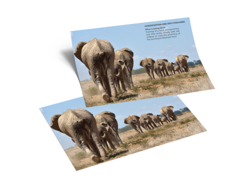 The Fight for Africa’s Giants